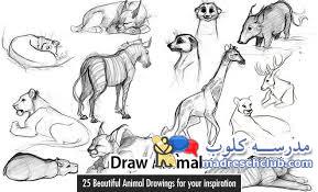 آموزش نقاشی حیوانات